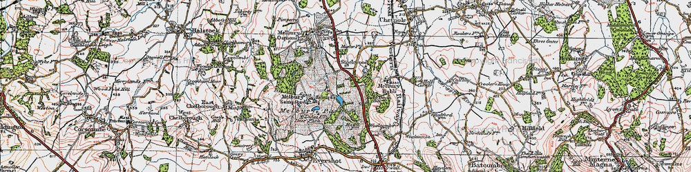 Old map of Stockwood in 1919