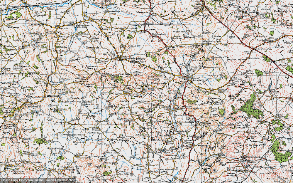 Old Map of Stoke Abbott, 1919 in 1919