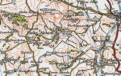 Old map of Stoke Abbott in 1919