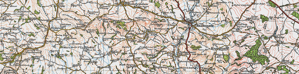 Old map of Stoke Abbott in 1919