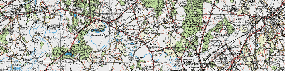 Old map of Stoke D'Abernon in 1920