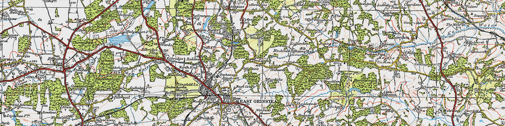 Old map of Blockfield Wood in 1920