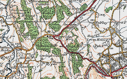 Old map of Whitman's Hill Coppice in 1920