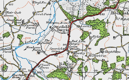 Old map of Stratfield Turgis in 1919