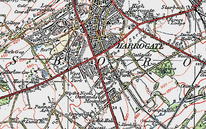 Old map of Stray, The in 1925