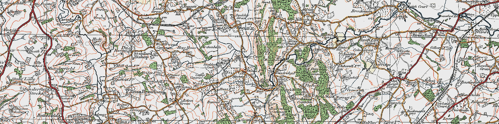 Old map of Suckley in 1920