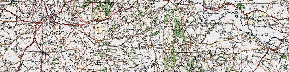 Old map of Suckley Green in 1920