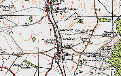 Old map of Sunton in 1919