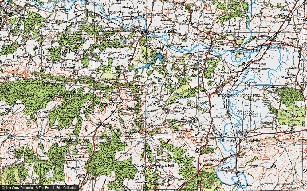 Old Map of Historic Map covering Barlavington Down in 1920