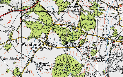 Old map of Sutton Holms in 1919