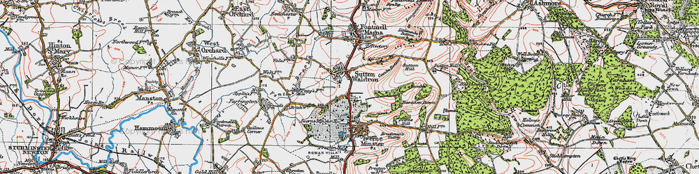 Old map of Sutton Waldron in 1919