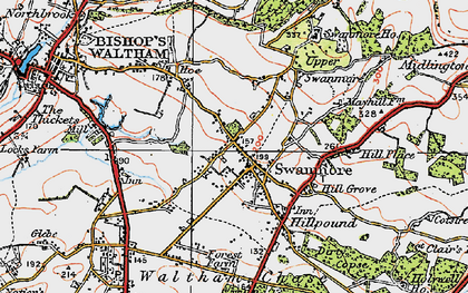 Old map of Swanmore in 1919