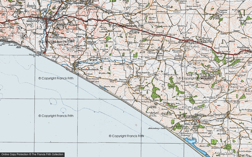 Old Map of Swyre, 1919 in 1919
