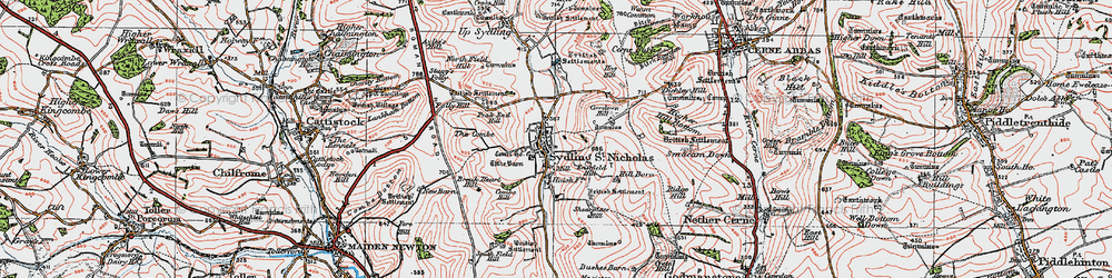 Old map of Sydling St Nicholas in 1919