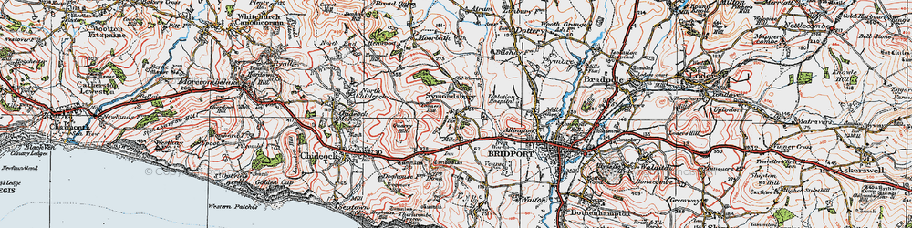 Old map of Symondsbury in 1919