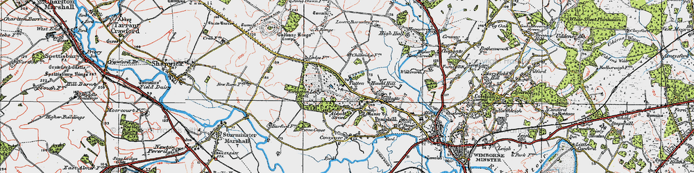 Old map of Wynne Copse in 1919