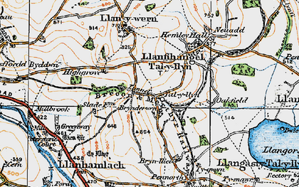 Old map of Talyllyn in 1919