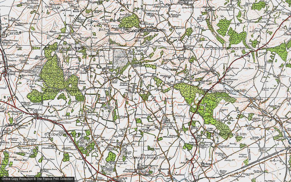 Old Map of Historic Map covering Blagden Ho in 1919