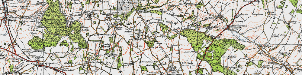 Old map of Tangley in 1919