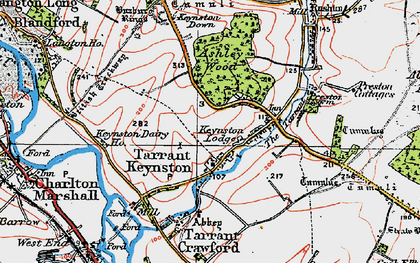 Old map of Tarrant Keyneston in 1919