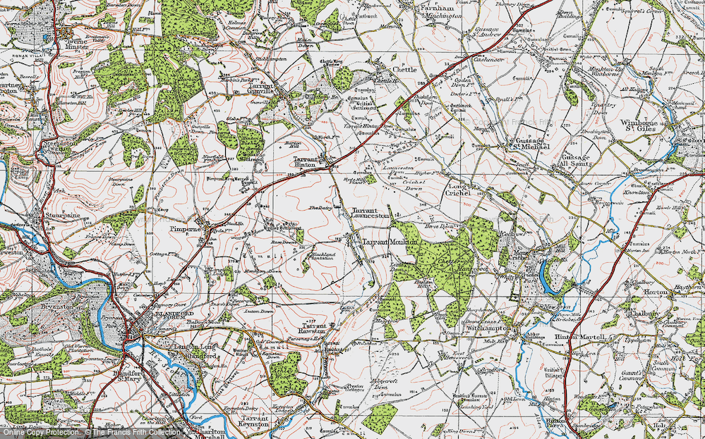 Old Map of Tarrant Launceston, 1919 in 1919