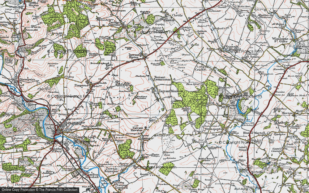 Old Map of Tarrant Monkton, 1919 in 1919