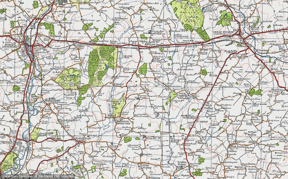 Taverners Green, 1919
