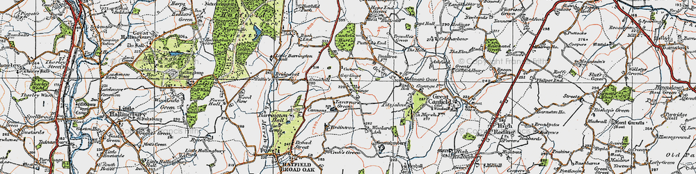 Old map of Taverners Green in 1919