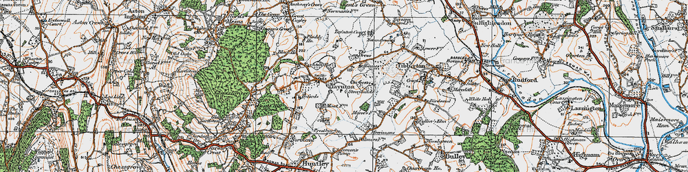 Old map of Taynton in 1919