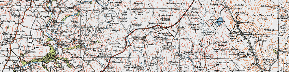 Old map of Blacktor Downs in 1919