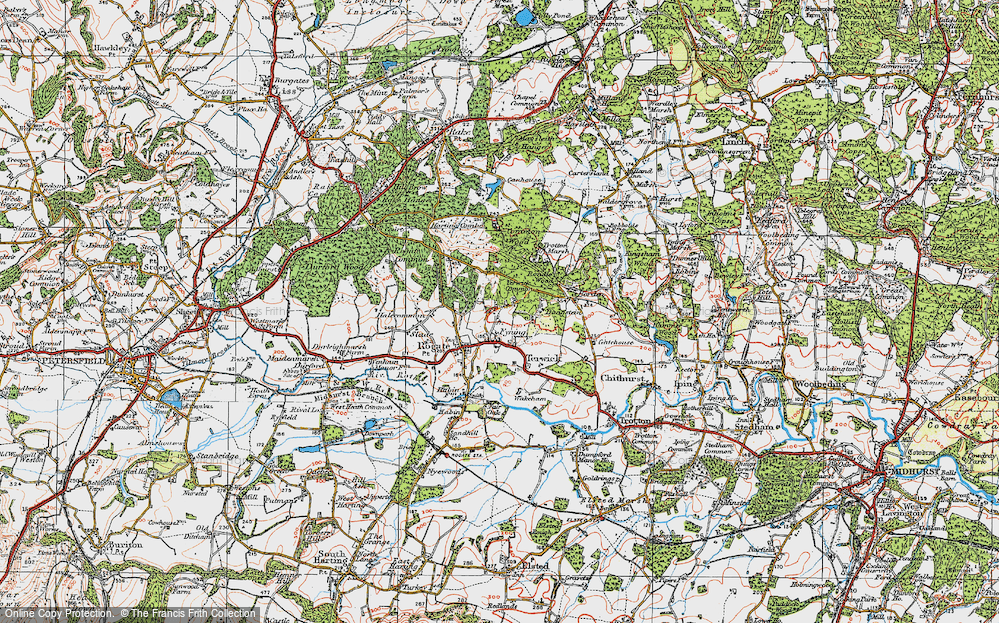 Old Map of Terwick Common, 1919 in 1919