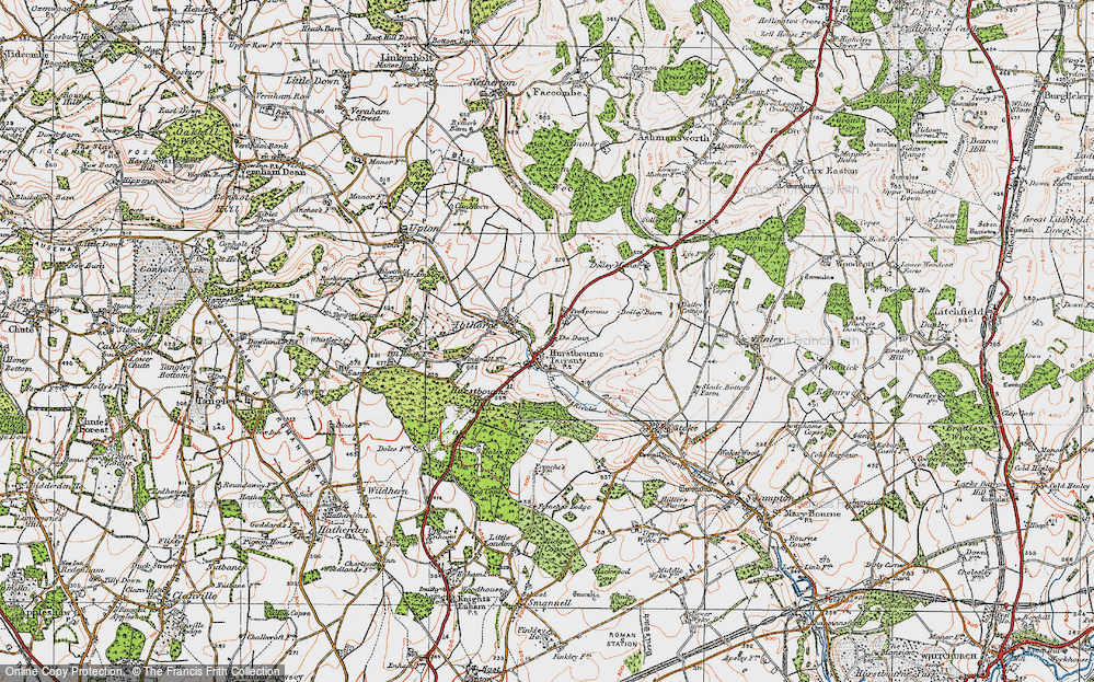 Old Map of The Dene, 1919 in 1919