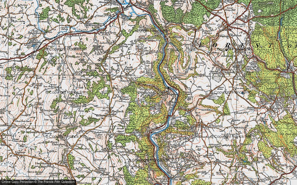 In 1919