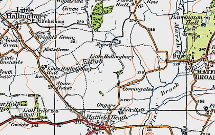 Old map of The Ryes in 1919