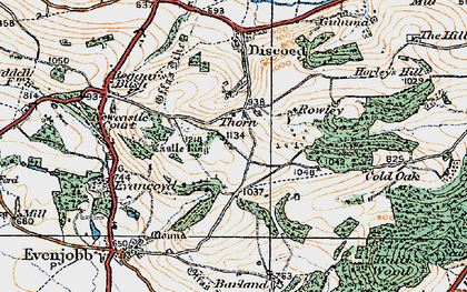 Old map of Thorn in 1920
