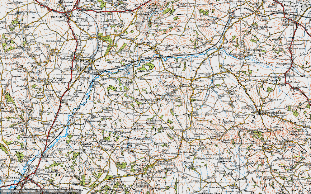 Old Map of Thorncombe, 1919 in 1919