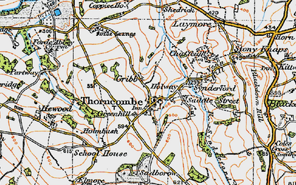 Old map of Thorncombe in 1919