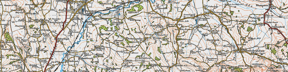 Old map of Thorncombe in 1919