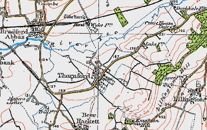 Old map of Thornford in 1919