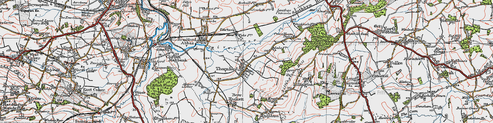 Old map of Thornford in 1919
