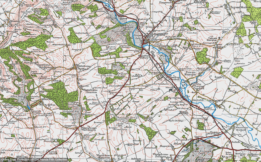 Old Map of Thornicombe, 1919 in 1919
