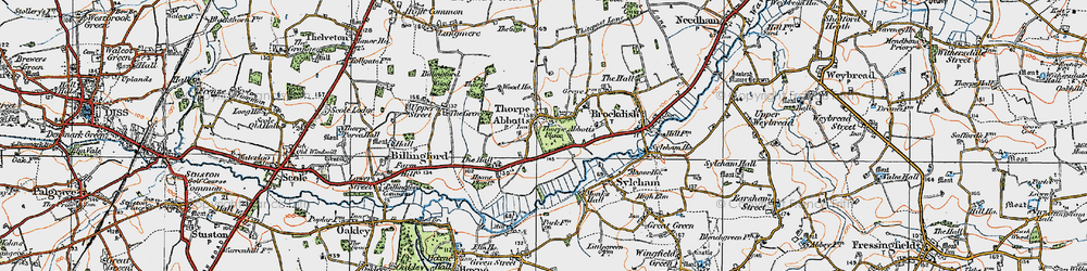 Old map of Thorpe Abbotts in 1921