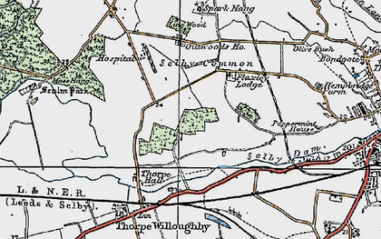 Old map of Thorpe Wood in 1924