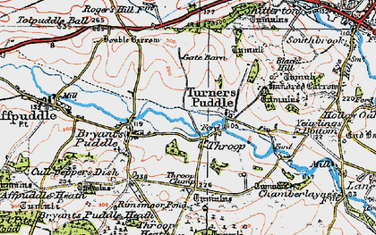Old map of Tonerspuddle Heath in 1919