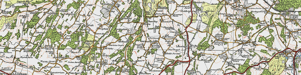 Old map of Throwley Forstal in 1921