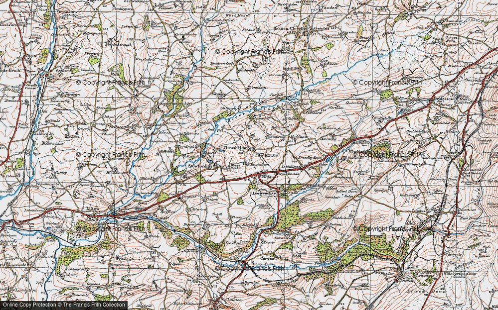Old Map of Thrushelton, 1919 in 1919