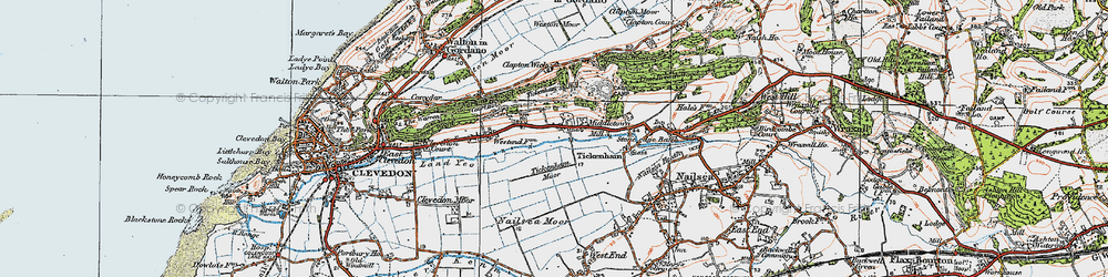 Old map of Tickenham in 1919