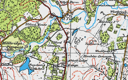 Old map of Tilford Common in 1919