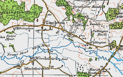 Old map of Woodsford Lower Dairy in 1919