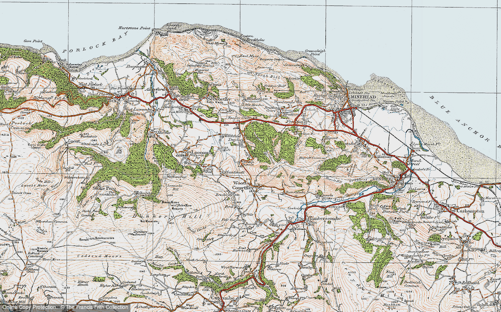 Old Map of Historic Map covering Tivington Common in 1919